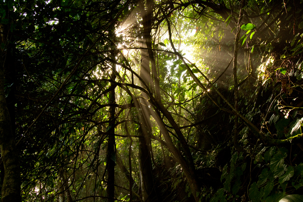 Costa Rica - Corcovado
